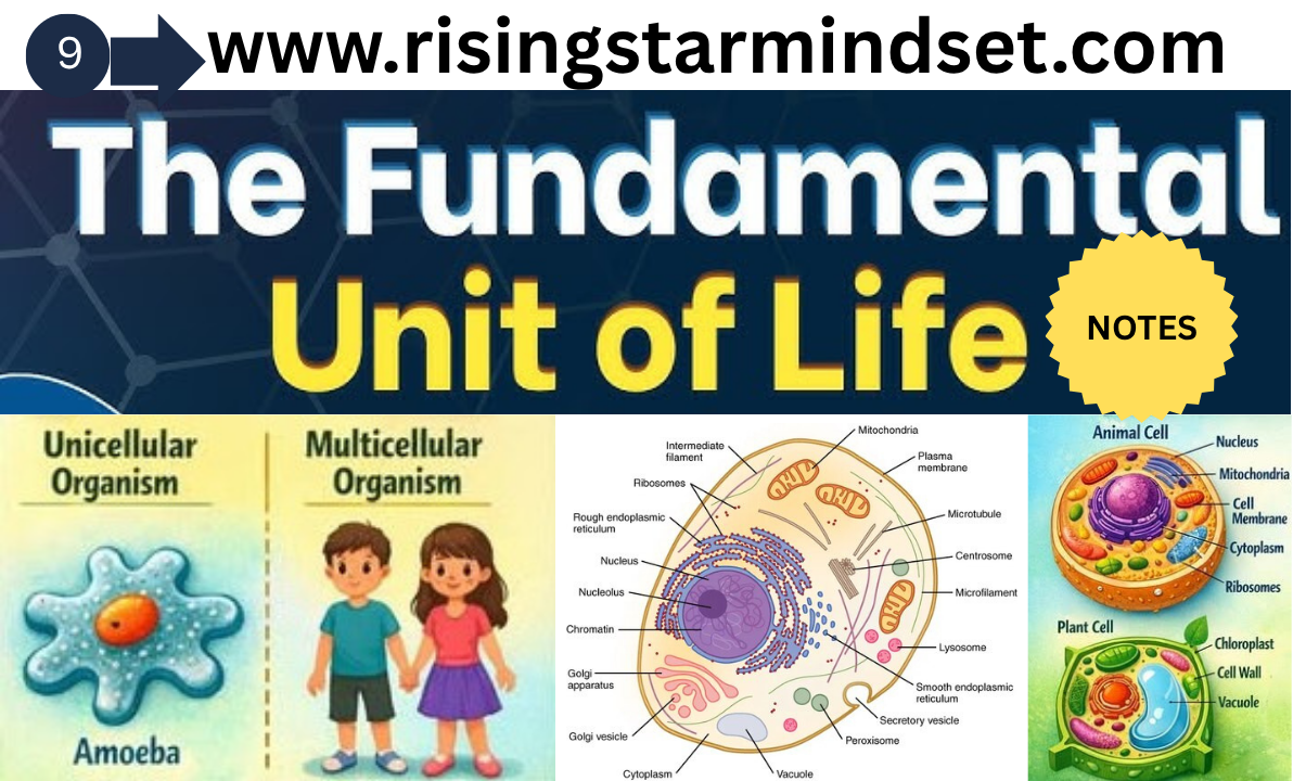 The fundamental unit of life