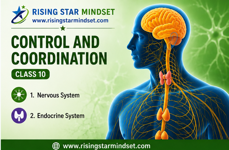 control and coordination