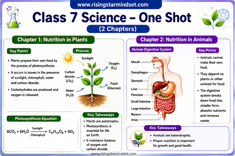 class 7 ch 1 2