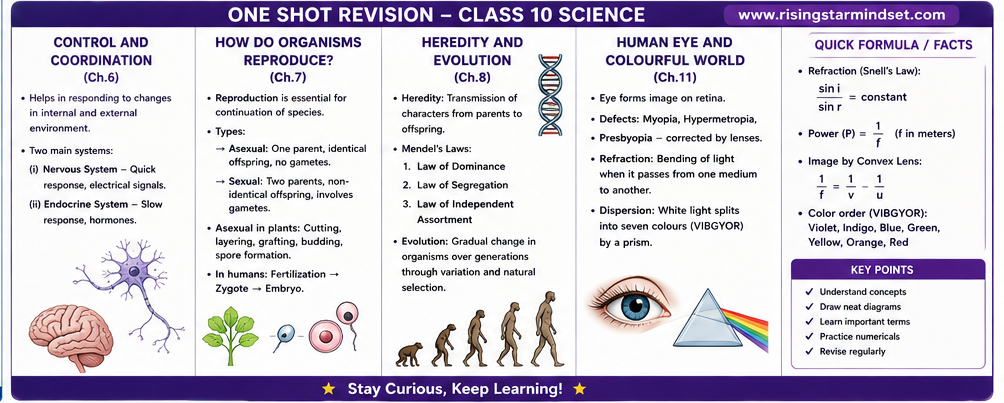 previous year class10 paper 