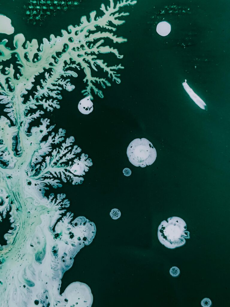 Microorganisms