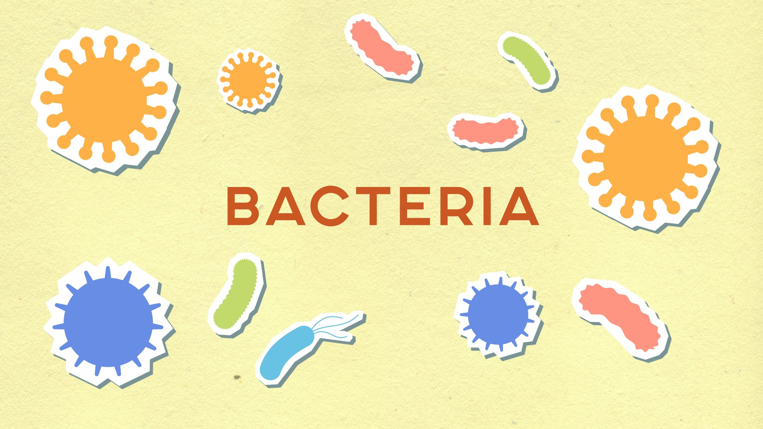 BACTERIA