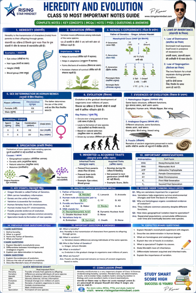 Heredity and Evolution Class 10