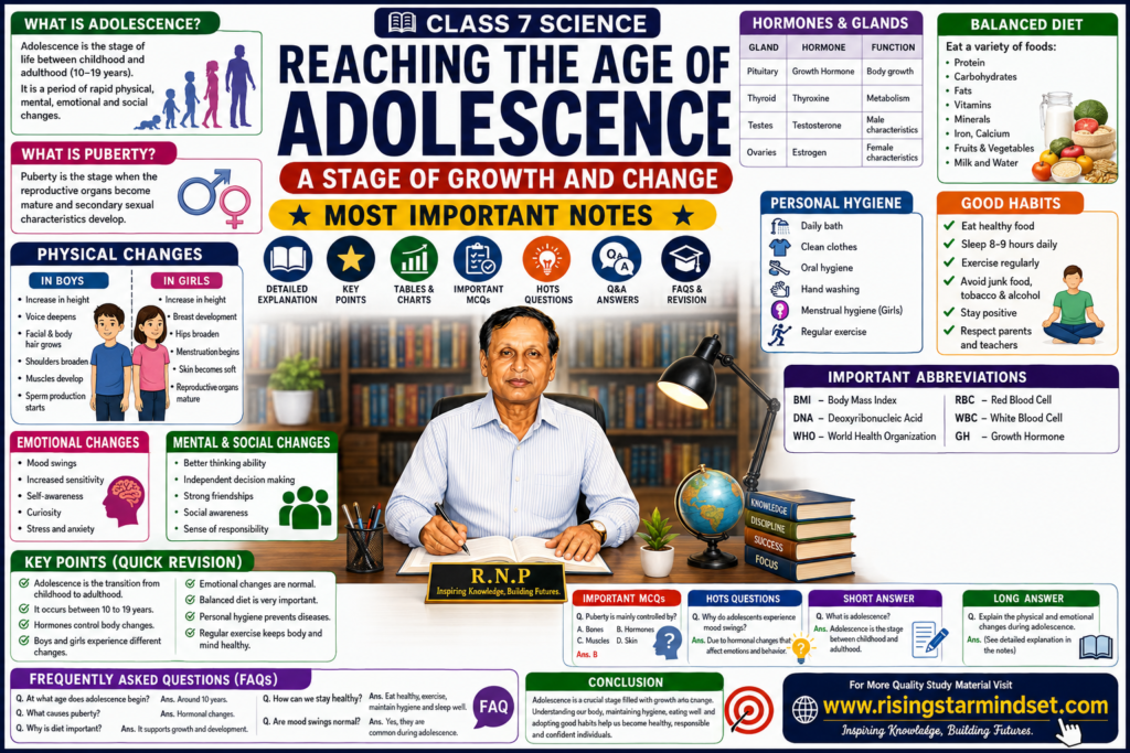 Reaching The Age Of Adolescence Class 7