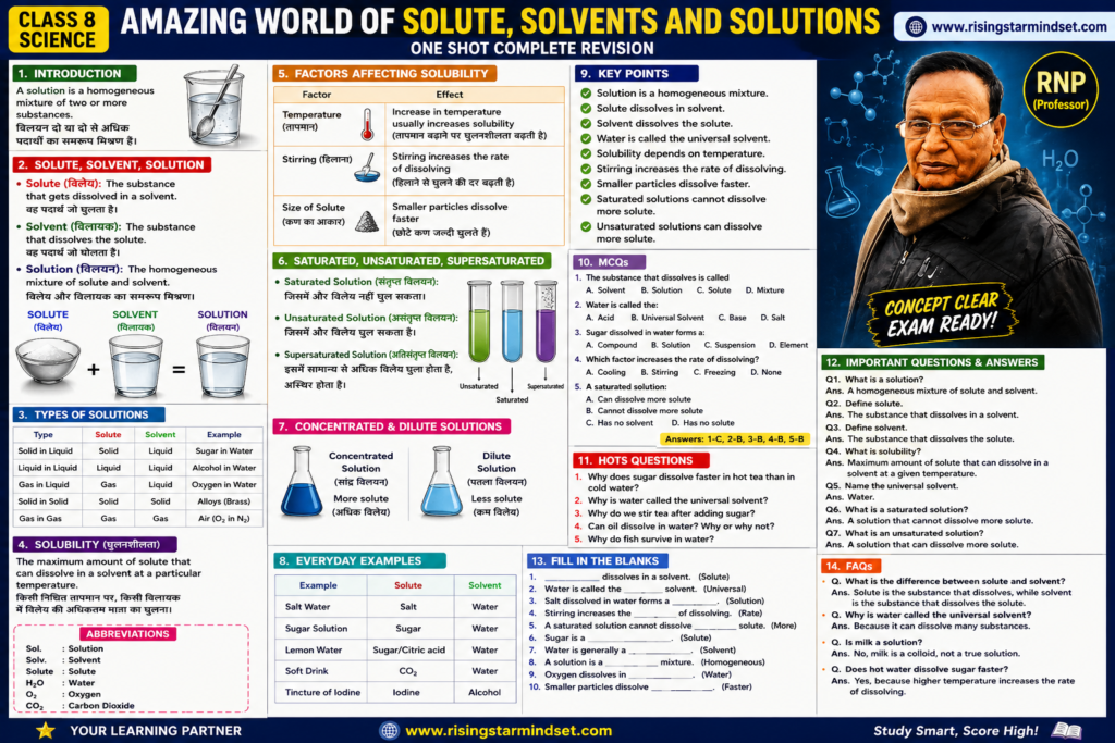 Amazing World of Solute Solvents and Solutions Class 8