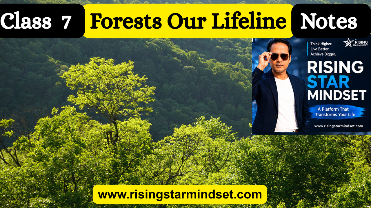 forests