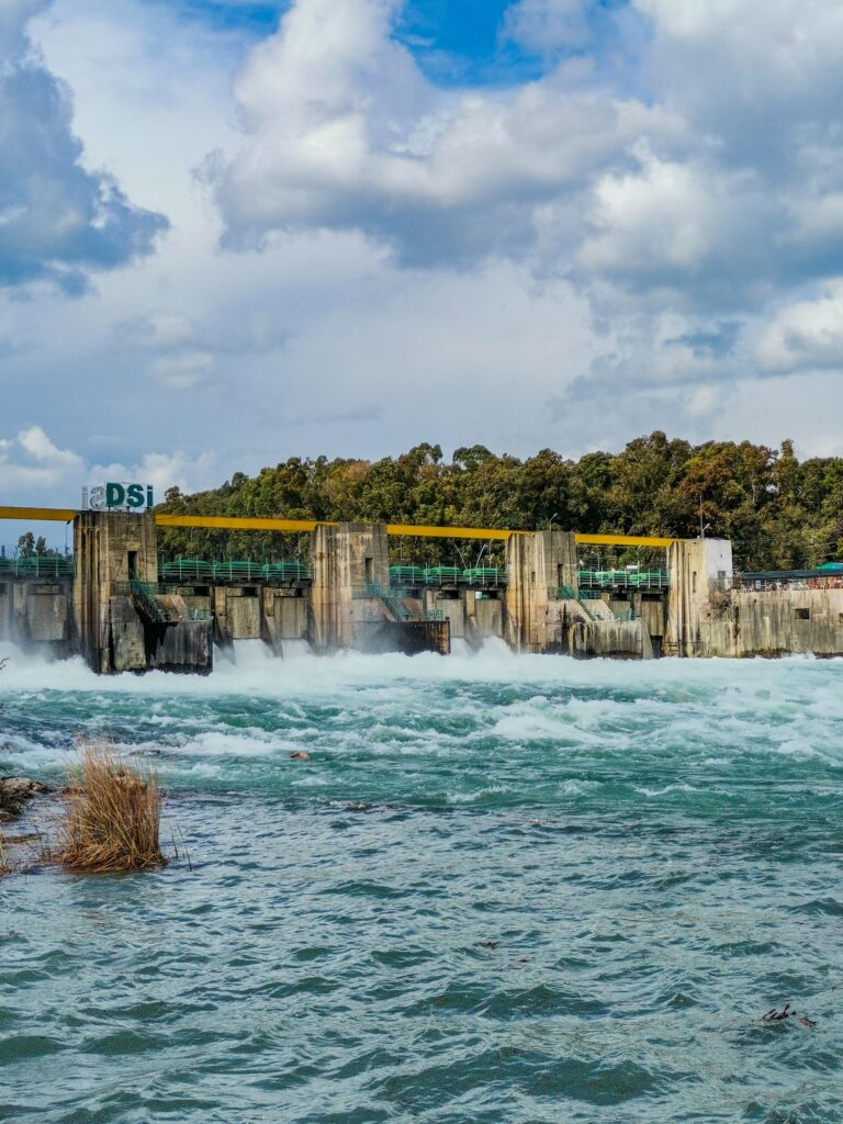 Management of Natural Resources