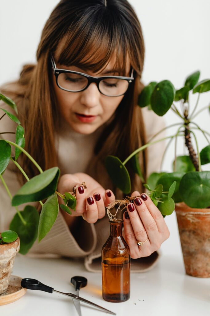 Reproduction in Plants